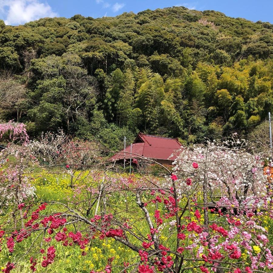 Toraya Attic Shimoda (Shizuoka) Exterior foto