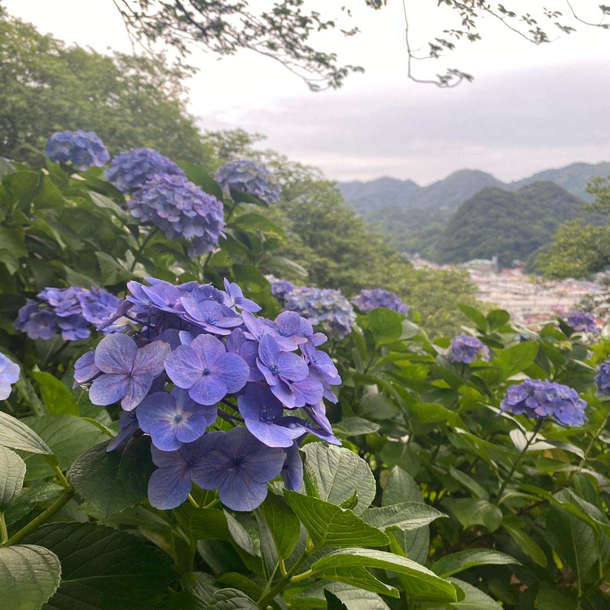 Toraya Attic Shimoda (Shizuoka) Exterior foto